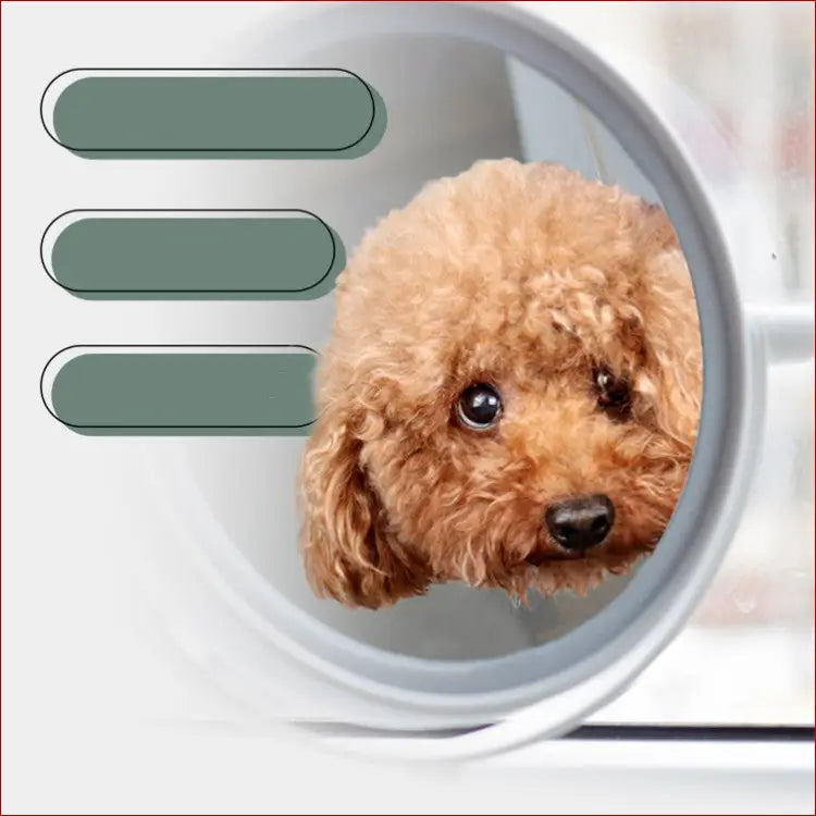 Pet Grooming Hammock – Nail Trimming Made Easy