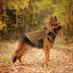 Tactical Dog Vest for Large Dogs – Outdoor Pet Gear