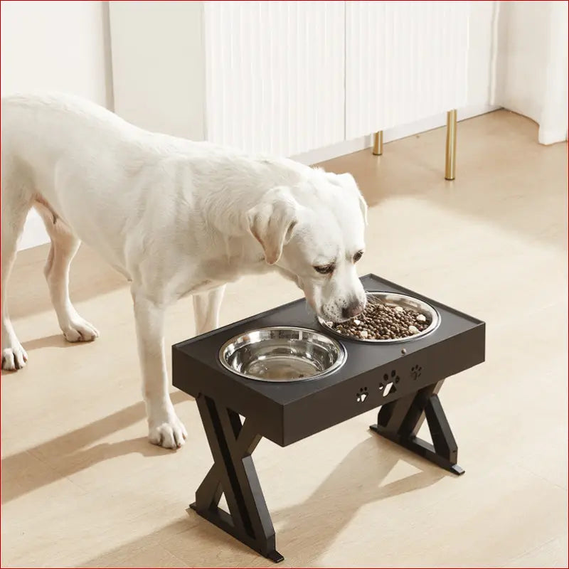 Foldable Pet Feeder Bowl – Durable & Portable Design
