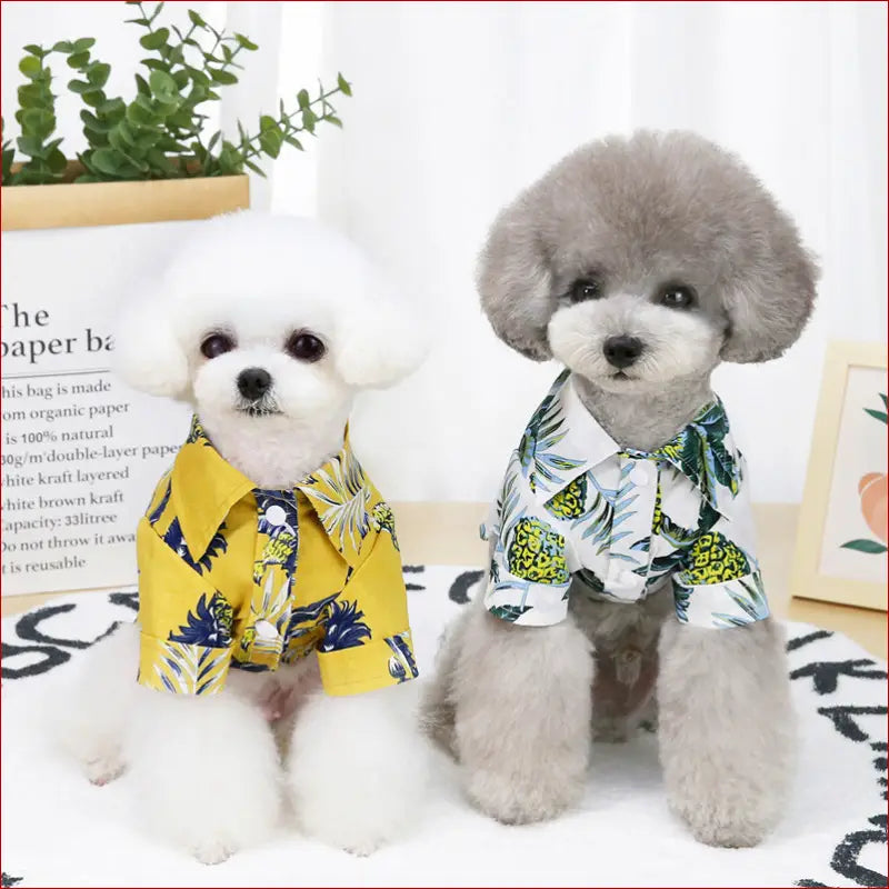 Lightweight Summer Apparel for Dogs – Breathable & Cute