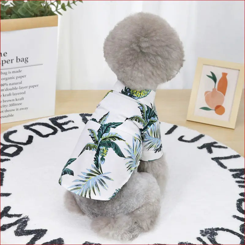 Lightweight Summer Apparel for Dogs – Breathable & Cute