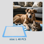 Disposable Pet Pads – Toilet Training Supplies for Dogs Cats