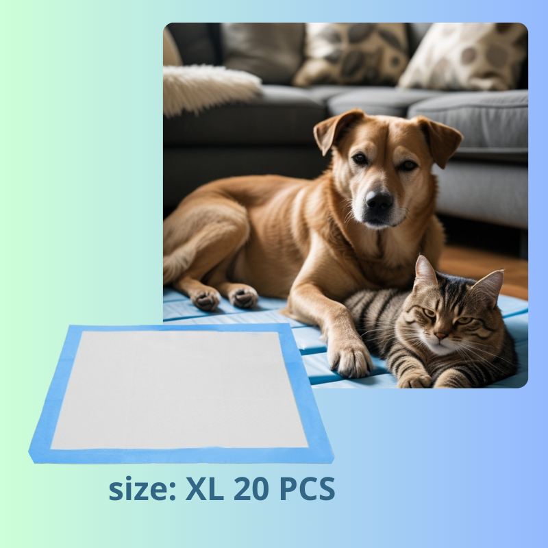 Disposable Pet Pads – Toilet Training Supplies for Dogs Cats