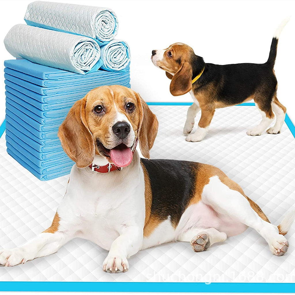 Disposable Pet Pads – Toilet Training Supplies for Dogs Cats