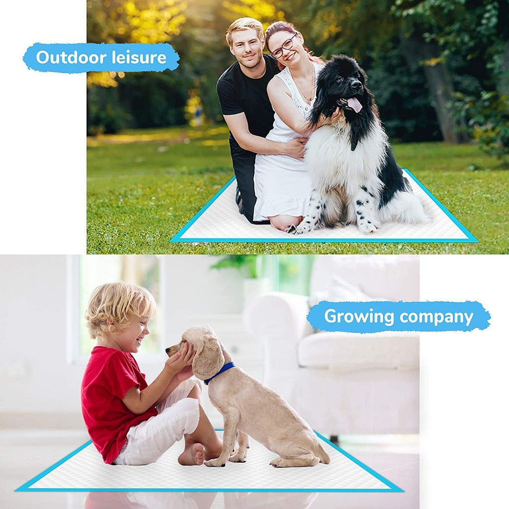 Disposable Pet Pads – Toilet Training Supplies for Dogs Cats
