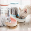Automatic Pet Feeder & Drinking Fountain – Pet Feeding