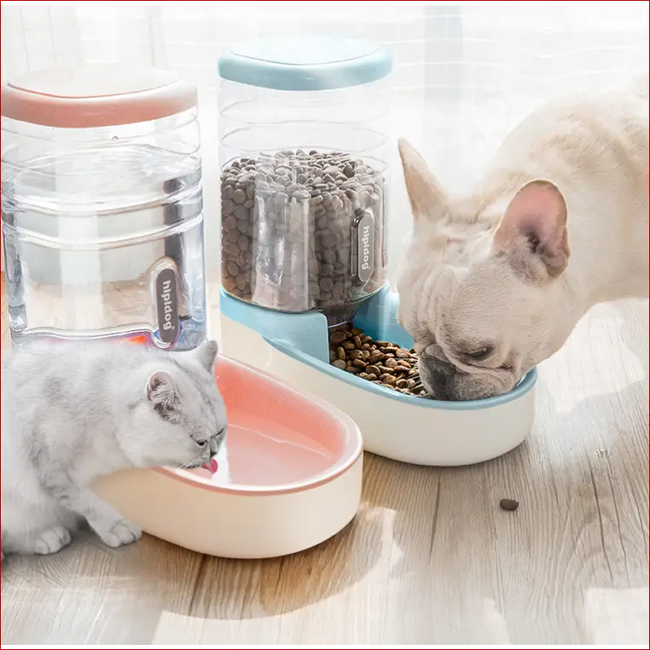 Automatic Pet Feeder & Drinking Fountain – Pet Feeding Hover Image