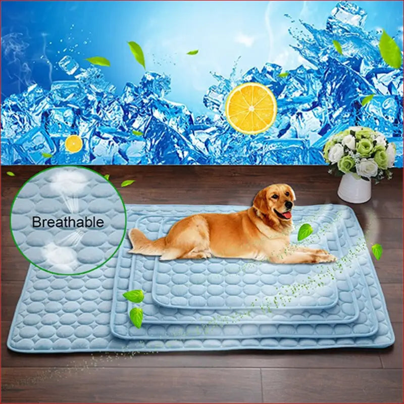Cooling Ice Pad for Dogs and Cats – Summer Comfort Solution