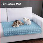 Cooling Ice Pad for Dogs and Cats – Summer Comfort Solution