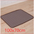 Cooling Ice Pad for Dogs and Cats – Summer Comfort Solution