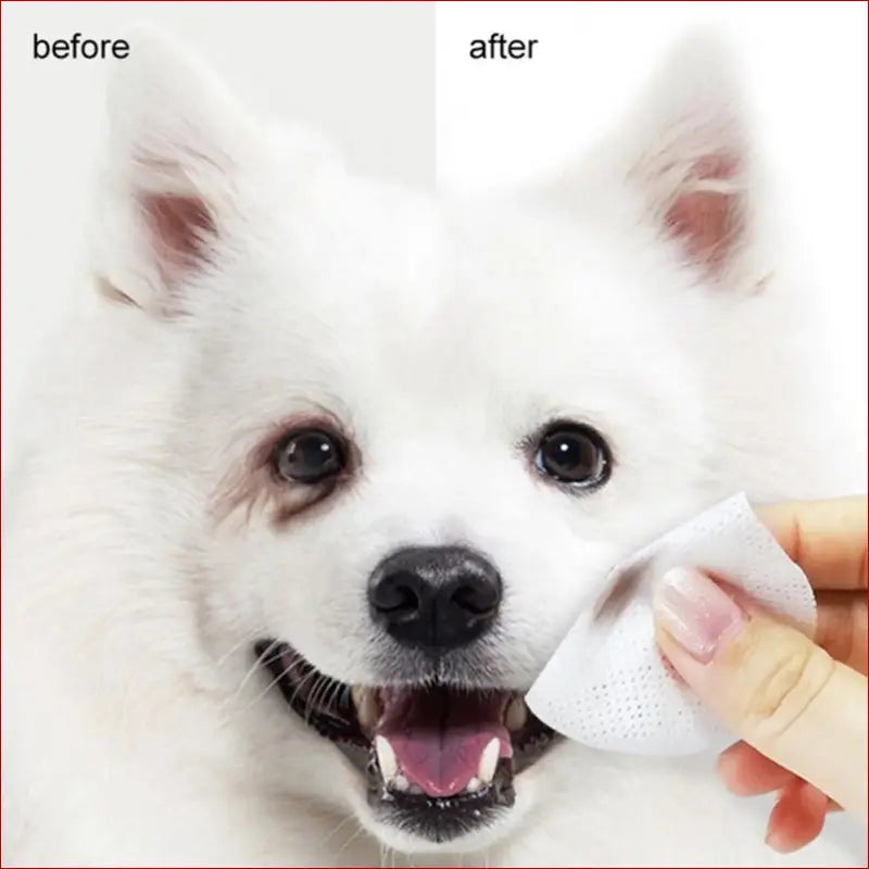 Pet Eyes Cleaning Wipes – 120 Non-Woven Wipes for Care