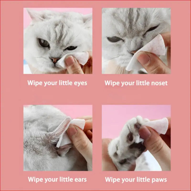 Pet Eyes Cleaning Wipes – 120 Non-Woven Wipes for Care
