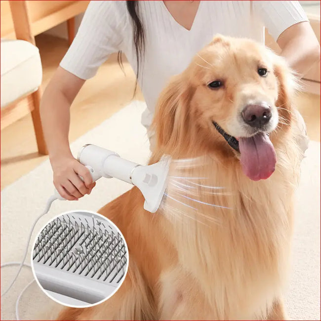 2-in-1 Pet Hair Dryer & Grooming Comb for Cats & Dogs Hover Image