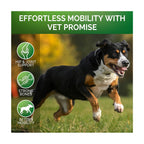 Pet Hip and Joint Supplement: Glucosamine Chondroitin for Mobility