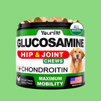 Pet Hip and Joint Supplement: Glucosamine Chondroitin for Mobility