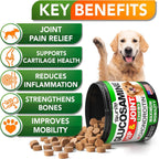 Pet Hip and Joint Supplement: Glucosamine Chondroitin for Mobility