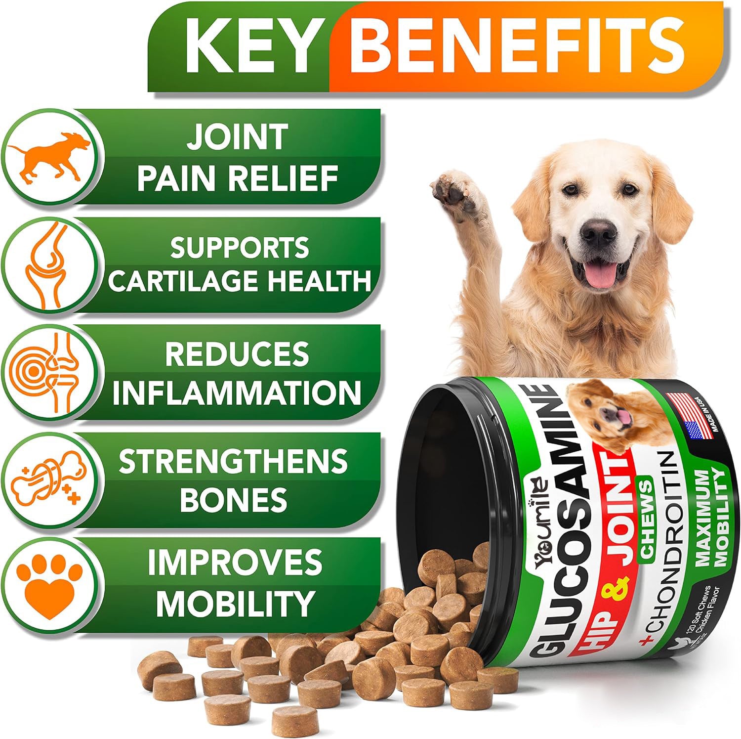 Pet Hip and Joint Supplement: Glucosamine Chondroitin for Mobility