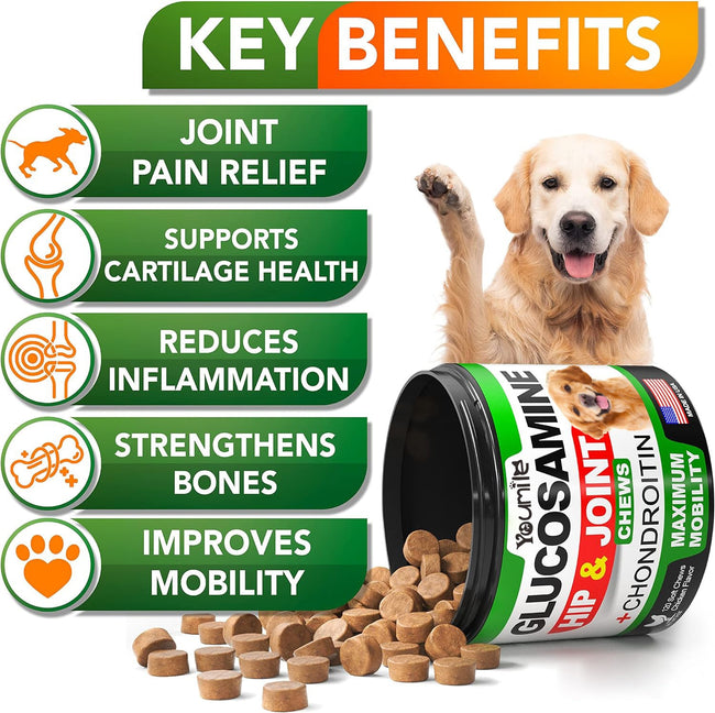 Pet Hip and Joint Supplement: Glucosamine Chondroitin for Mobility Hover Image