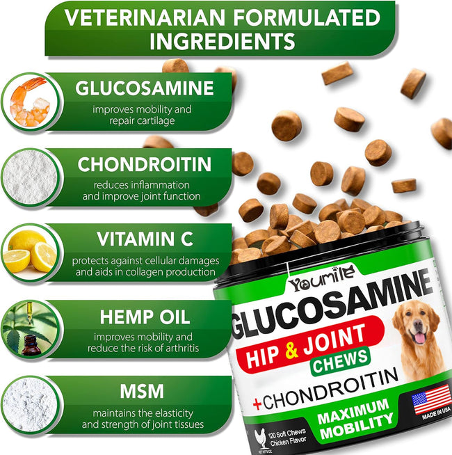 Pet Hip and Joint Supplement: Glucosamine Chondroitin for Mobility Main Image