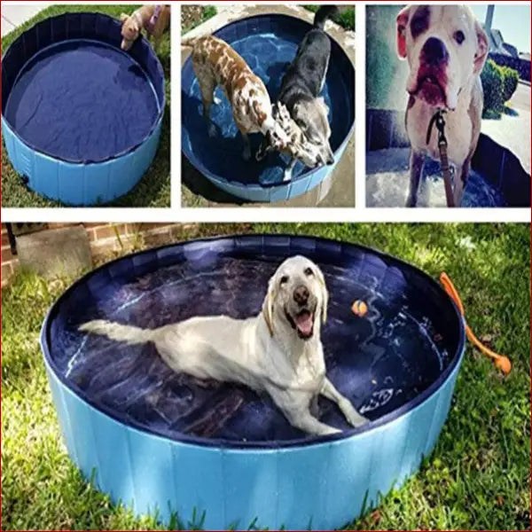 Foldable Dog Pool – Large Pet Swimming & Bathing Supplies