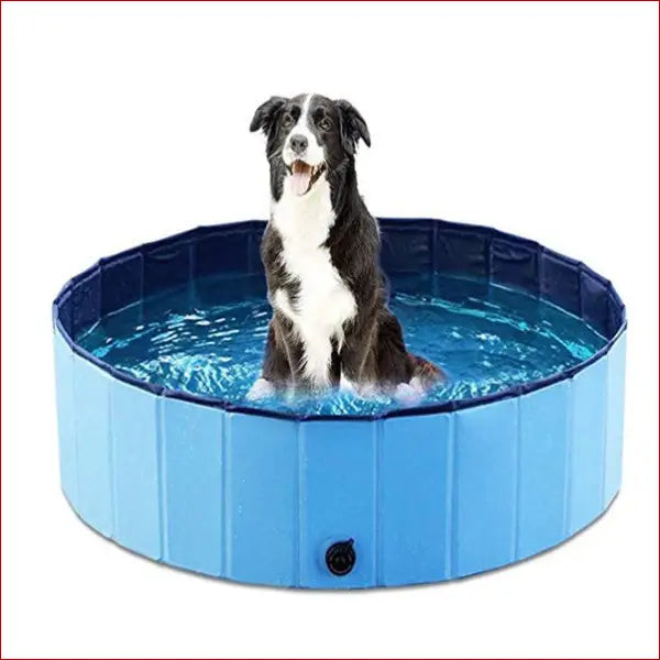 Foldable Dog Pool – Large Pet Swimming & Bathing Supplies