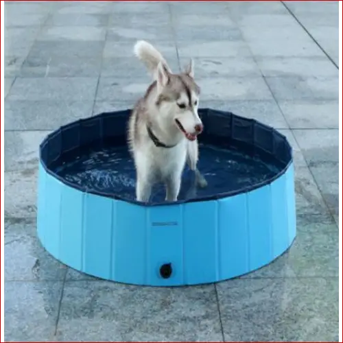 Foldable Dog Pool – Large Pet Swimming & Bathing Supplies