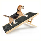 Pet Ramp Ladder – Adjustable Angle for Easy Access