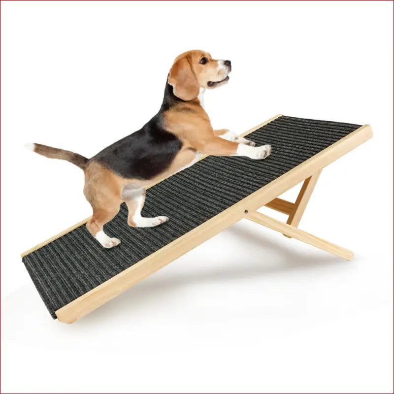 Pet Ramp Ladder – Adjustable Angle for Easy Access