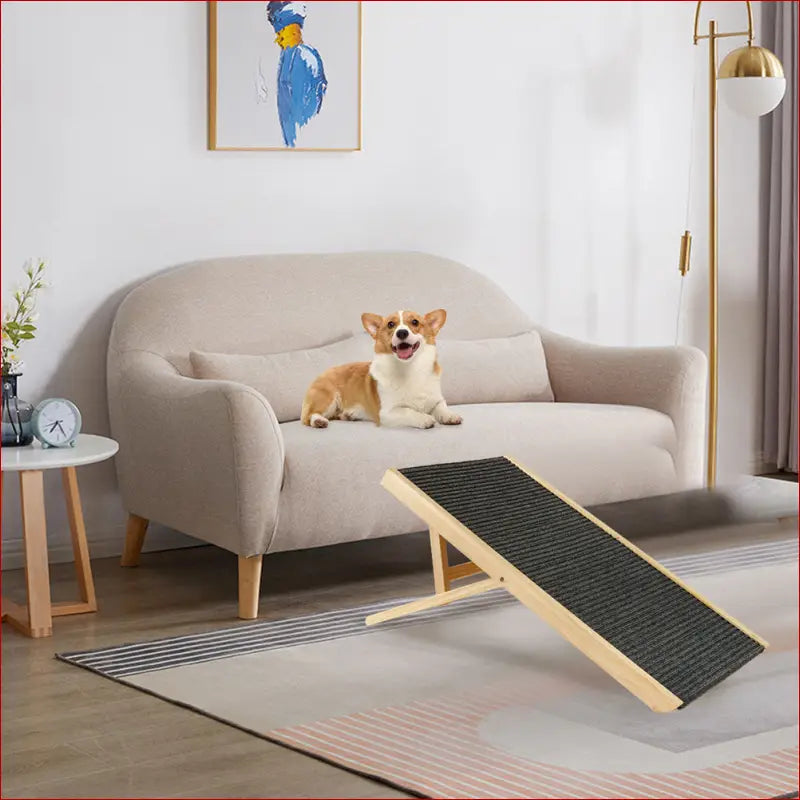 Pet Ramp Ladder – Adjustable Angle for Easy Access