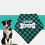 Best Pet Saliva Towel– Perfect for Cleaning and Comfort