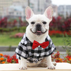 Plaid Dog Shirt Suit – Wedding Outfit for Small | Large Pets