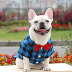 Plaid Dog Shirt Suit – Wedding Outfit for Small | Large Pets