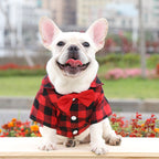 Plaid Dog Shirt Suit – Wedding Outfit for Small | Large Pets