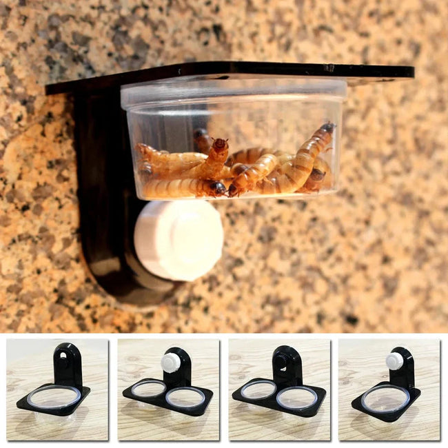1pcs ABS Reptile Tank Food Water Feeding Bowl Insect Spider Ants Nest Snake Gecko Terrarium Breeding Feeders Box Pets Supplies Main Image