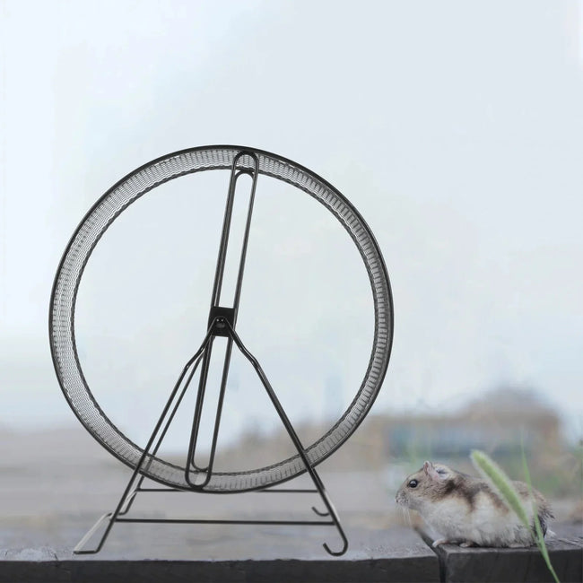Wheel Hamster Exercise Running Small Silent Chinchilla Largehedgehog Guinea Ratgerbil Metal Pet Quiet S Animal Main Image
