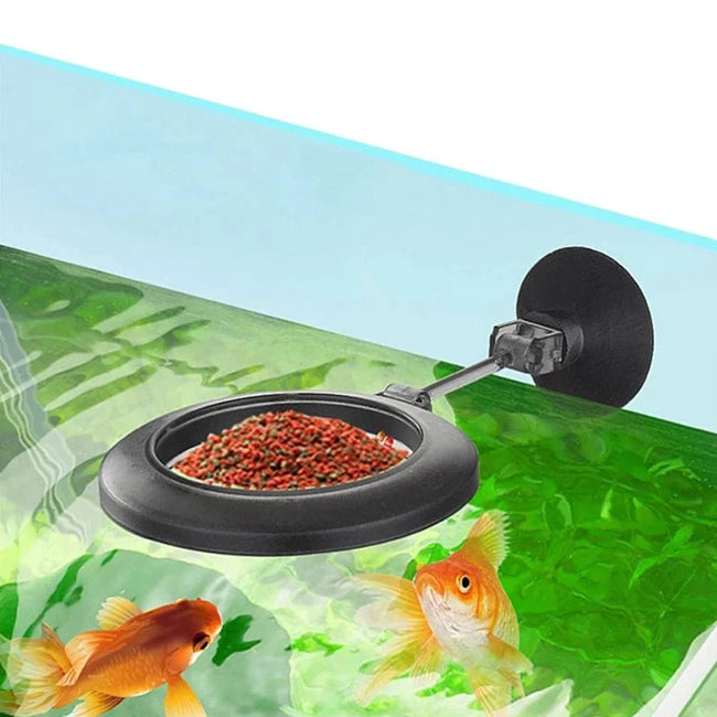 1 Set Multi-functional Aquarium Feeding Tube Floating Feeding Ring Shrimp Feeder Tube And Dish Fish Tank For Tropical Fish Main Image