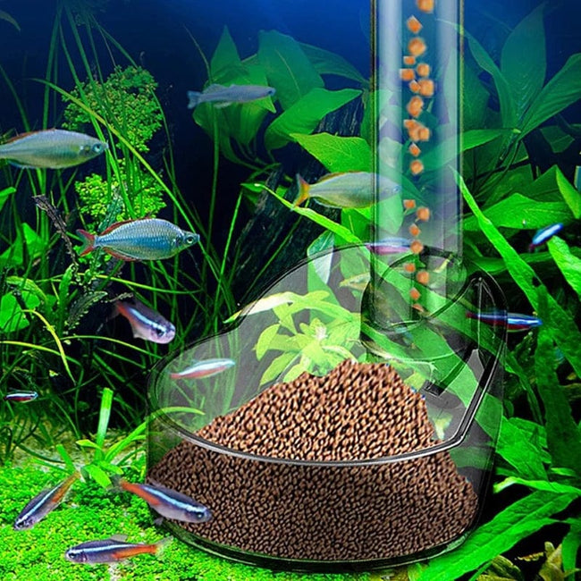 1 Set Multi-functional Aquarium Feeding Tube Floating Feeding Ring Shrimp Feeder Tube And Dish Fish Tank For Tropical Fish Hover Image