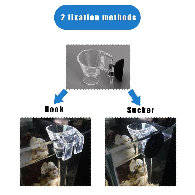 Acrylic Feeder Tube Dish Transparent Fish Tank Shrimp Snail Food Feeder Bowl Feeding Aquarium Accessories Shrimp Feeders