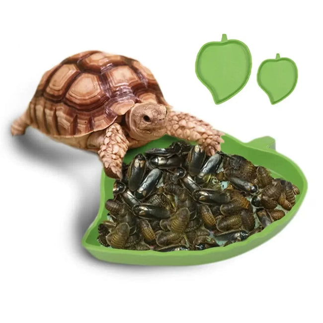 Amphibians Reptiles Feeder Plastic Reptile Terrarium Feeding Basin Tortoise Lizard Crawler Bowl Basin Water Fountain for Turtles Main Image