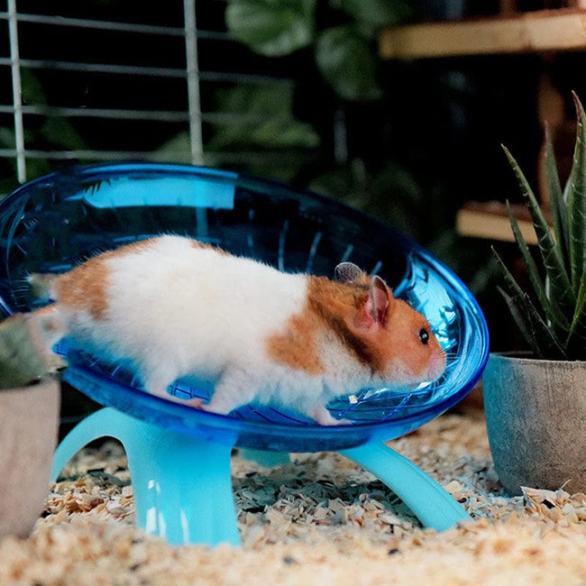 Pet Hamster Flying Saucer Exercise Squirrel Wheel Hamster Mouse Running Disc Hover Image