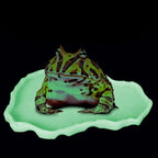 Reptile Bowls Terrarium Feeding Worm Dish Reptile Mealworm Feeder Dish Plastic Bowl for FROG  Snake Spiders Turtles