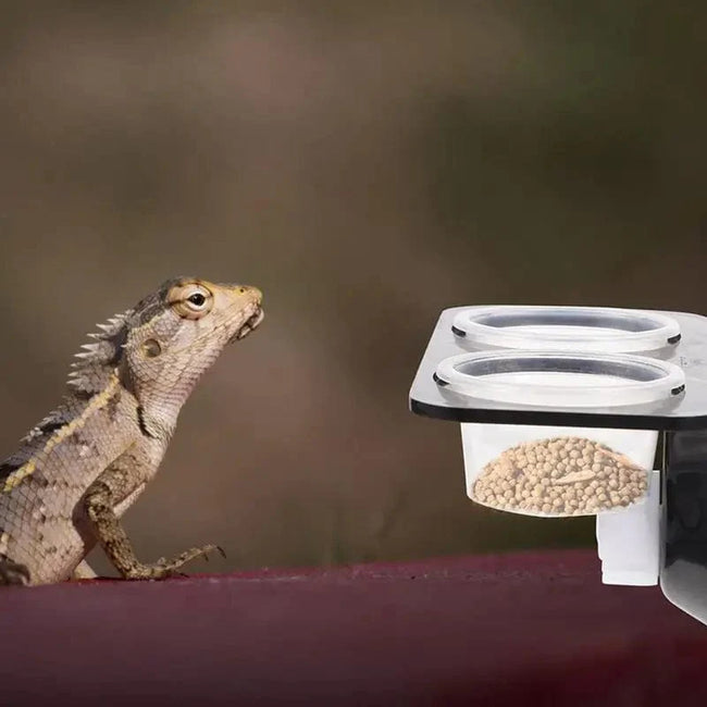 Reptile Tank Feeders Suction Cup Reptile Feeders Feeding Bowls Food Water Dishes Terrarium Breeding Feeders Box Pets Supplies Main Image