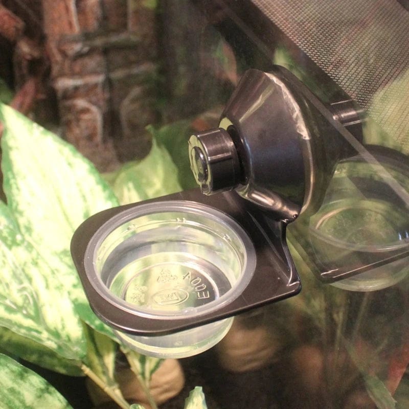 Reptiles Feeder Hanging Feeding Solid Food Water Basin for Terrarium Insect Spiders Reptiles Snake Geckos Pet Supplies