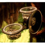 Reptiles Feeder Hanging Feeding Solid Food Water Basin for Terrarium Insect Spiders Reptiles Snake Geckos Pet Supplies