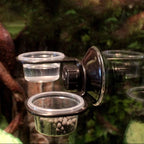 Reptiles Feeder Hanging Feeding Solid Food Water Basin for Terrarium Insect Spiders Reptiles Snake Geckos Pet Supplies