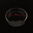 Transparent Square 6cm Aquarium Fish Tank Shrimp Food Feeding Glass Feeder Floating Bottom Feeder Fish Shrimp Food Bowl
