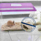 Metal Brackets Running Wheel Support Hamster Syrian Exercise White Iron Small Pet Stand