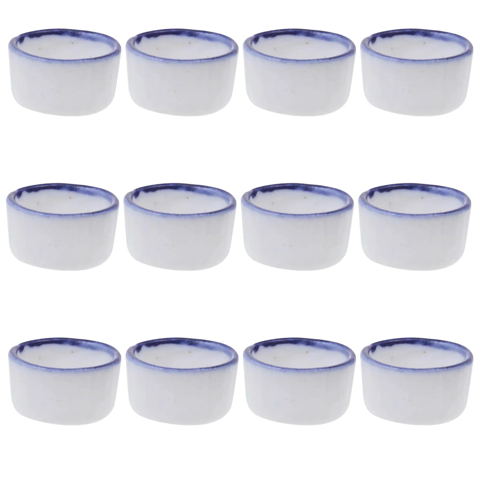 12 Pcs Basin Small Terrarium Jumping Spider Enclosure Tarantula The Fence Millipede Ceramics Mini Water Sink Reptile Baby