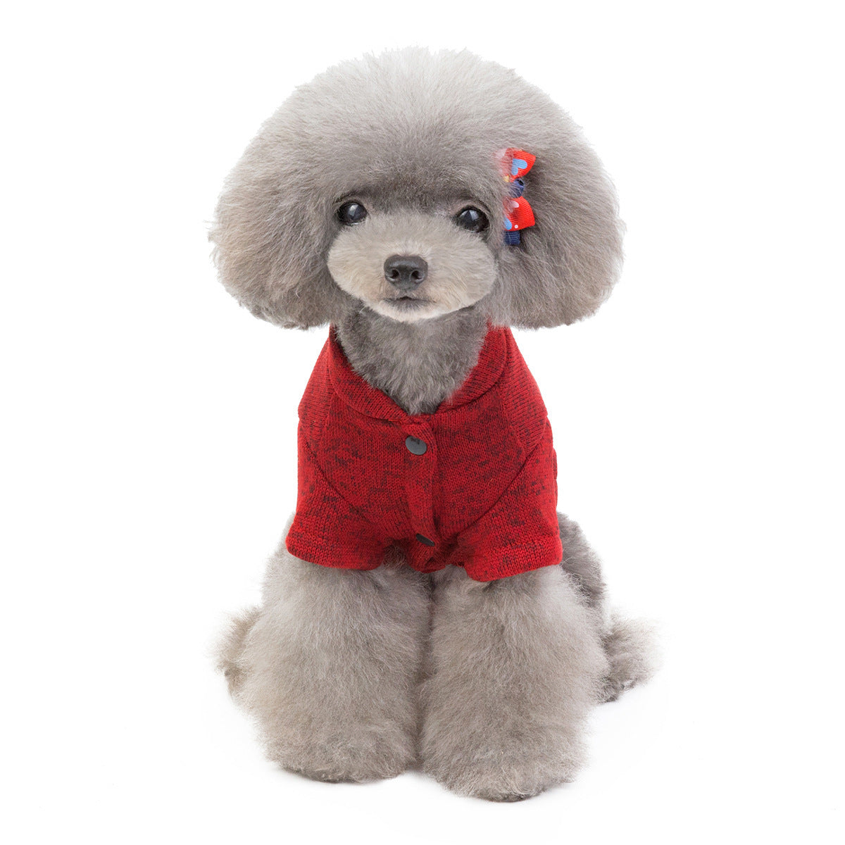 Pet Clothes for Dogs and Cats - Adorable Outfits
