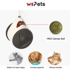 [Mouse Design] Interactive Cat Toy Treat Dispenser tumble toy